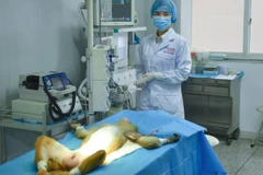 Các nhà khoa học Trung Quốc đã ghép thành công các mạch máu được sản xuất từ máy in 3D lên khỉ thí nghiệm. (Nguồn: CNN)