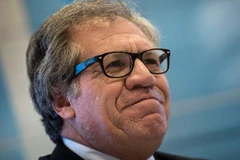 Tổng thư ký OAS Luis Almagro. (Nguồn: AFP/TTXVN)