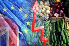 (Nguồn: express.co.uk)