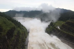 Ảnh minh họa. (Nguồn: TTXVN)