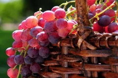 Nho Australia. (Nguồn: suvarnabhoomi.com.au)