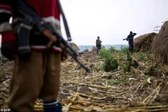 (Nguồn: dailymail.co.uk)