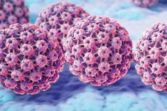 Virus HP thầm lặng hủy diệt sức khỏe phụ nữ như thế nào?