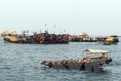 Tàu cá Trung Quốc hoạt động trên biển Hoa Đông. (Ảnh: Reuters/TTXVN)