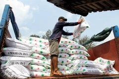 Bốc dỡ hàng xuất khẩu tại Cảng Sài Gòn. (Ảnh: Thanh Vũ/TTXVN)