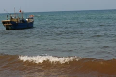 Ảnh minh họa. (Nguồn: TTXVN)