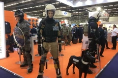 (Ảnh: Việt Sơn/Vietnam+)