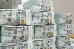 Ảnh minh họa. (Nguồn: EPA/TTXVN)