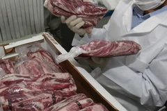Kiểm tra thịt bò Mỹ nhập khẩu. (Nguồn: Yonhap/TTXVN)
