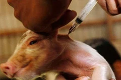 (Nguồn: plenglish.com)