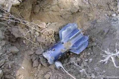 (Nguồn: daily-sun.com)