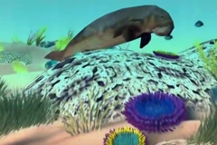 [Videographics] Tìm hiểu Rạn san hô Great Barrier lớn nhất thế giới