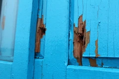 Tàu cá QNg 96677 TS bị tàu nước ngoài bắn với nhiều vết thủng. (Ảnh: TTXVN)