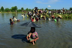 Người tị nạn Rohingya tới khu vực Palongkhali, gần Ukhia, Bangladesh ngày 16/10, sau khi sơ tán khỏi bang Rakhine của Myanmar. (Nguồn: AFP/TTXVN)