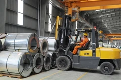 Tôn thành phẩm của nhà máy tôn Hoa Sen Phú Mỹ. (Ảnh: Kim Phương/TTXVN)