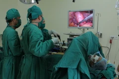 Êkíp bác sỹ Bệnh viện Đa khoa Xuyên Á thực hiện ca phẫu thuật nội soi túi mật cho bệnh nhân. (Ảnh: Phương Vy/TTXVN)