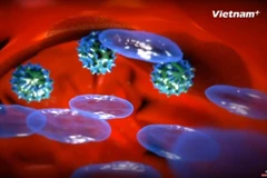 [Videographics] Vì sao con người cần thiết phải tiêm chủng? 