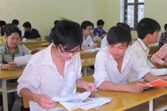 Ảnh minh họa (Phạm Mai/Vietnam+).