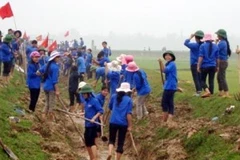 Ảnh minh họa (Nguồn: Internet)