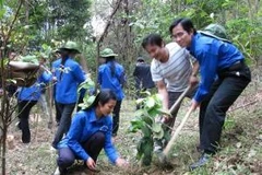 Ảnh chỉ mang tính minh họa. (Nguồn: Internet)