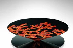 Tác phẩm 'Ranh giới.' (Ảnh: Hna) 