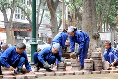 Ảnh chỉ có tính minh họa. (Ảnh: Trần Thanh Giang/TTXVN)