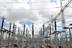 Ảnh chỉ có tính minh họa. (Ảnh: Kim Phương/TTXVN)