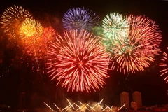 Thi bắn pháo hoa quốc tế 2010 tại Đà Nẵng. (Ảnh: Văn Sơn/TTXVN)