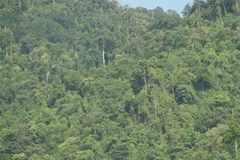 Ảnh chỉ có tính minh họa. (Nguồn: Internet)