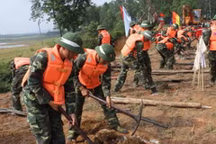 Ảnh minh họa. (Ảnh: Trọng Đức/TTXVN)