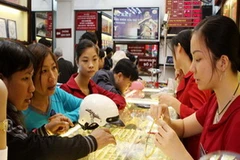 (Ảnh minh họa: Trần Việt/TTXVN) 