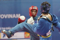 Ảnh chỉ mang tính minh họa. (Nguồn: Tràng Dương/TTXVN)