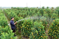 Ảnh chỉ mang tính minh họa. (Nguồn: TTXVN)