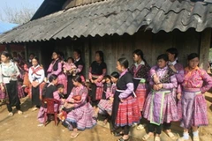 Ảnh minh họa. (Ảnh: Phương Hoa/TTXVN)