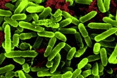 Ảnh chỉ có tính minh họa. (Nguồn: Internet)