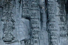 Ảnh chỉ có tính minh họa. (Nguồn: Internet)