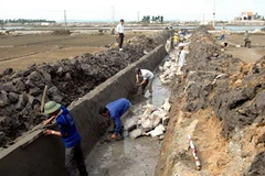 Ảnh chỉ có tính minh họa. (Ảnh: Lan Xuân/TTXVN)