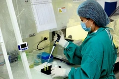 Việt Nam sẽ nâng cao năng lực các phòng xét nghiệm, chẩn đoán cúm A/H7N9. (Ảnh: Dương Ngọc/TTXVN)