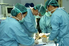 (Ảnh minh họa: Đình Trân/TTXVN) 