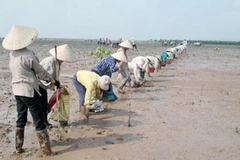 Ảnh chỉ có tính minh họa. (Nguồn: Internet)