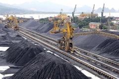 Ảnh chỉ có tính minh họa. (Ảnh: Duy Khương/TTXVN)