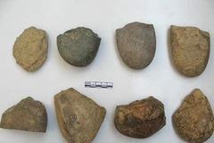 Ảnh chỉ có tính minh họa. (Nguồn: Internet)