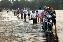 Ảnh chỉ có tính minh họa. (Ảnh: Phạm Thị Huế/TTXVN)