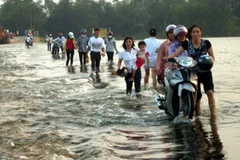 Ảnh chỉ có tính minh họa. (Ảnh: Phạm Thị Huế/TTXVN)