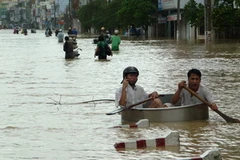 Ảnh chỉ có tính minh họa. (Ảnh: Quang Đức/TTXVN) 