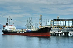 Ảnh chỉ có tính minh họa. (Ảnh: Thanh Long/TTXVN)