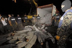 Ảnh chỉ có tính minh họa. (Nguồn: Internet)