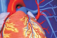 Ảnh chỉ có tính minh họa. (Nguồn: Internet)