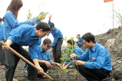 Thanh niên tình nguyện trồng cây. (Ảnh minh họa: Đình Trân/TTXVN) 