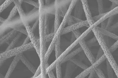 Ảnh chỉ có tính minh họa. (Nguồn: Internet)